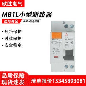 贵州泰永长征DPN小型漏电断路器MB1L-32KC微型空气开关1P+N6A-32A