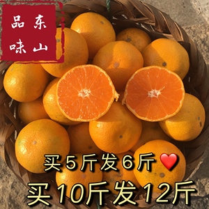 【品味东山】苏州东山新鲜橘子水果洞庭椪柑桔子无核蜜桔包邮12斤