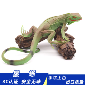 实心仿真绿鬣蜥模型蜥蜴动物玩具爬行动物认知儿童礼品摆件