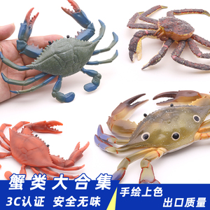 仿真螃蟹模型梭子蟹玩具寄居蟹帝王蟹儿童中华鲎海洋生物螃蟹玩具
