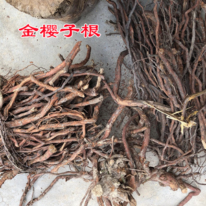 新货野生金樱子根新鲜晒干刺梨子山石榴鸡头子糖罐中药材泡酒一斤