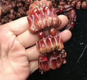 海南本地野菠萝干籽滴血莲花连体籽菩提子手串手链原籽