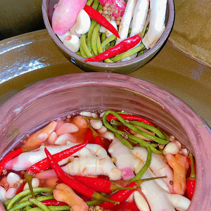 四川土坛自制泡菜老坛泡酸萝卜泡豇豆酸豆角泡仔姜二斤条辣椒大蒜