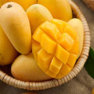 香芒果新鲜5斤