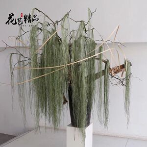 钢丝草壁挂吊兰清新绿植壁挂吊兰花墙壁垂吊仿真绿色植物绿草壁挂