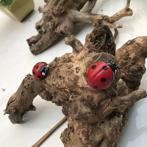 仿真昆虫模型七星瓢虫别墅盆景装饰摆件早教识物教具磁性冰箱贴