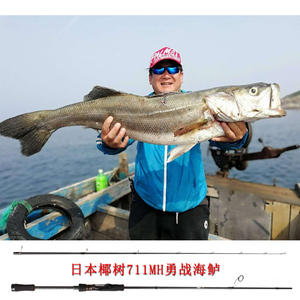 palms小椰树路亚竿lurkshooter 狩猎者根钓海鲈杆 路亚铁板竿虫杆