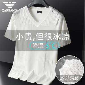 GABBANIE夏季韩版修身男士薄款针织短袖t恤时尚镂空帅气V领打底衫