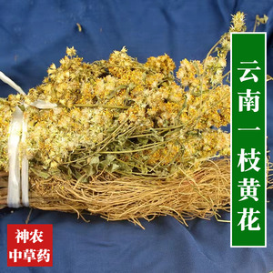 云南野生中药材一枝黄花500g精选一级天然无硫蛇头王泡酒料百根草