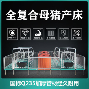 母猪产床保育两用床一体养殖猪设备产仔单体产房双体双围定限位栏