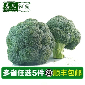 【喜凡鲜蔬】新鲜西兰花500g 绿花菜 青花菜 时鲜蔬菜