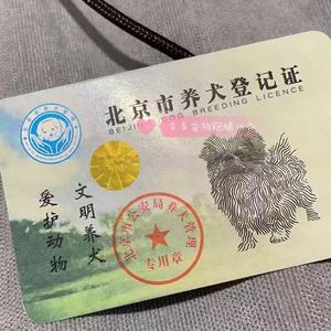 狗证北京