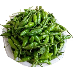 广东小米椒野山椒泡椒辣椒农家新鲜小米椒朝天椒指天椒尖椒包邮