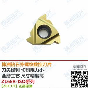 YBG203 Z16ER EL 1.0 1.5 2.0 2.5 3.0ISO AG60 55株钻外螺纹刀片