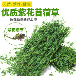 紫花苜蓿草  苜蓿草2023干草草粮龙猫牧草饲料兔粮兔子吃的草