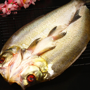 湖北新鲜刁子鱼大白刁开背600g腌制冷冻大白叼翘嘴鱼大鲜活淡水鱼