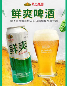 燕京鲜爽啤酒500ml*12罐量贩装罐鲜啤整箱8°麦香鲜啤酒燕京正品