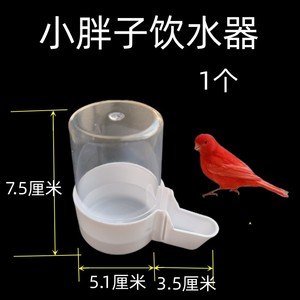 鸟用自动饮水喂食下水器水碗水杯玉鸟鹦鹉金青大金黄芙蓉鸟文鸟