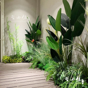 热带雨林植物仿真绿植装饰