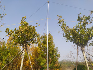 短波天线支撑杆