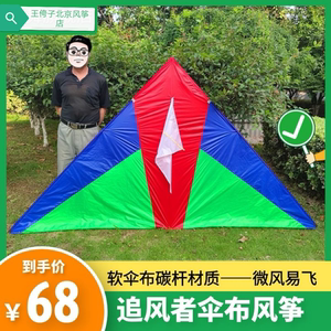 潍坊追风者风筝软伞布碳杆大型微风三角风筝夜光布成人儿童易飞
