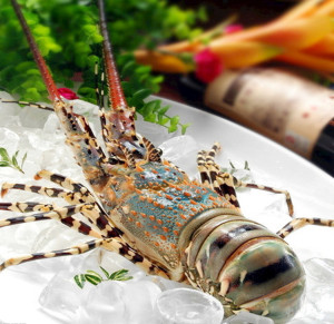 【冷冻野生小青龙】冷冻野生小青龙品牌,价格 - 阿里巴巴