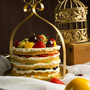 水果蛋糕动物奶油