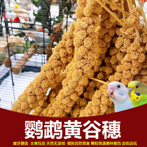 天然谷穗鹦鹉鸟粮食饲料虎皮牡丹玄凤文鸟带壳黄谷子小米鸟零食棒