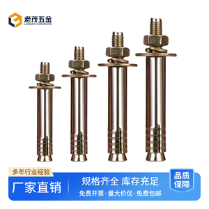 优质国标电梯胀栓重型壁虎加重加厚高强度膨胀螺丝强力膨胀栓