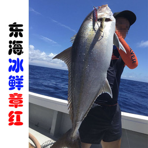 章红鱼鲜活