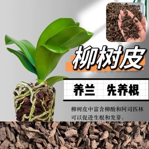 高温发酵腐熟柳树皮蝴蝶兰专用树皮辅助兰科植物生根