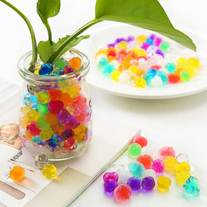 海洋生物球水养