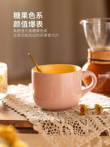 日本代购ZD杯子家用水杯陶瓷杯女生大容量马克杯燕麦早餐杯咖啡杯