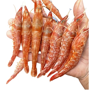 【静娟】福建东山岛野生船冻樱花虾 海虾 15条左右/盒 5盒起包邮