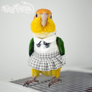 清晰小梦想宠物鹦鹉鸟衣服冬季加绒加厚保暖卫衣飞行棉服jk制服