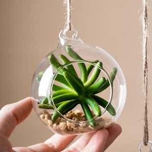 玻璃球花盆挂件吊饰仿真多肉盆栽挂饰幼儿园吊顶悬挂房间棚顶挂件