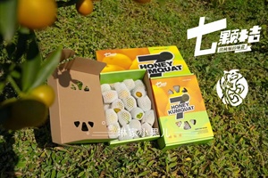 应季水果七颗桔脆蜜金柑无籽小金桔脆甜可口净重3.2斤礼盒装