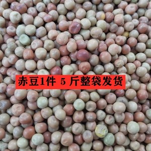 美顿宝进口赤豆5斤装优质花豌豆幼鸽粮食鸽子豌豆信鸽饲料花麻豆