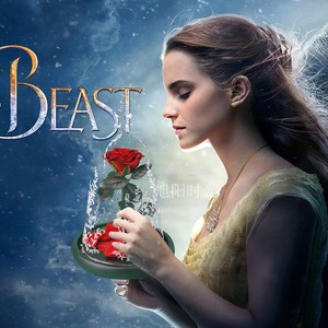 美女与野兽电影同款永生玫瑰花防尘玻璃罩婚礼 520送女友表白礼物