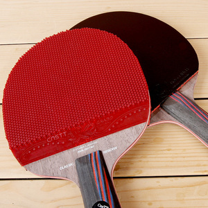 cnstt凯斯汀小颗粒长胶乒乓球拍睿博r5底板专业级手工拍套长反胶