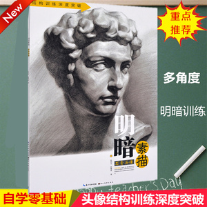 石膏头像 明暗素描系列 结构训练深度突破 头部的比例和透视规律 骨骼
