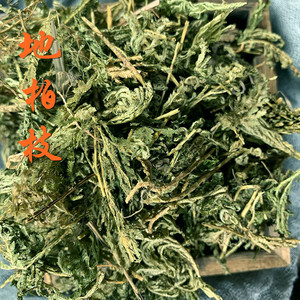 地柏枝500克(地柏 江南卷柏 岩柏草 岩柏枝 山扁担)中药材