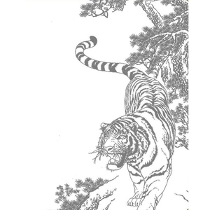 2本国画工笔画白描底稿动物 老虎 昆虫走兽 鱼 马初学线描临摹本