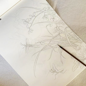 工笔画白描底稿临摹练习初学者入门国画花鸟牡丹勾线熟宣宣纸植物