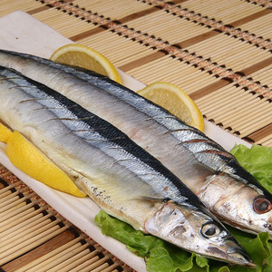 秋刀鱼500克(5-6条装) 人气烧烤食材 海鲜水产 鱼 正宗秋刀鱼