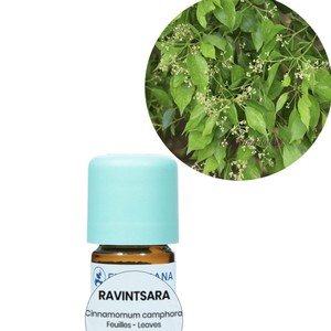 5g 罗文莎叶精油 桉油樟 huahuaflorihana florihana 失眠改善