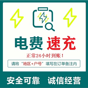 国家电网交电费充值居民用电代缴电费缴费慢冲充预存200元1000元