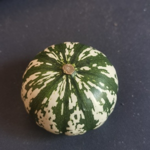 天然墨西哥葫芦疙瘩葫芦花瓣葫芦直播专用付款链接(乱拍不发货)