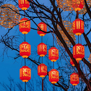 新年灯笼户外防水防晒氛围吊灯挂饰中国风新中式福字串联蘑菇小匠