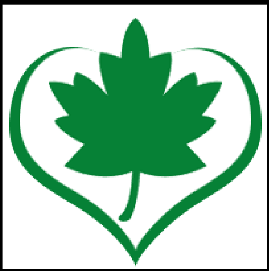 艾草草本尿布皂孕妇内衣内裤女士婴儿儿童宝宝专用洗衣服香皂包邮